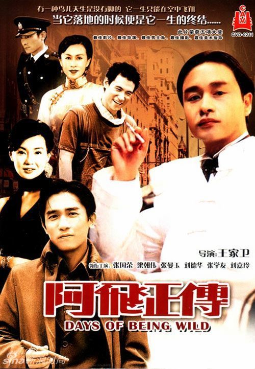 威斯康星大学狐谷分校学位证
